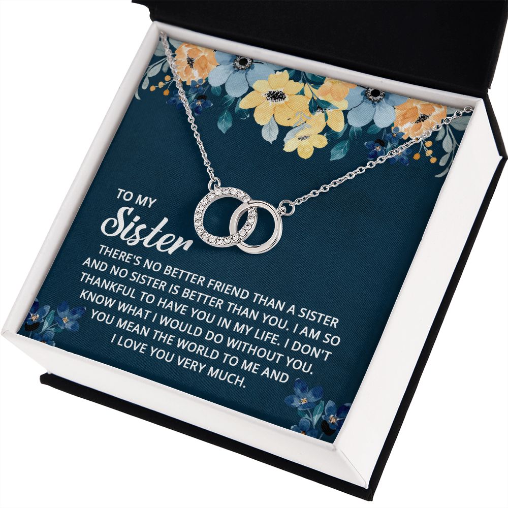 TO MY SISTER - I DON'T KNOW WHAT I WOULD DO WITHOUT YOU PERFECT PAIR NECKLACE